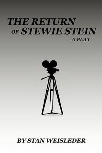 Cover image for The Return of Stewie Stein