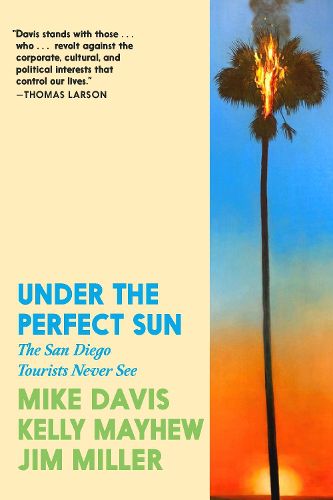 Cover image for Under the Perfect Sun