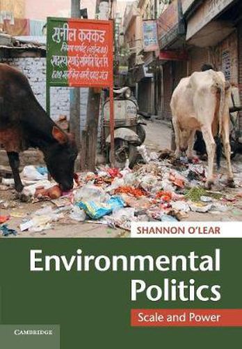 Cover image for Environmental Politics: Scale and Power