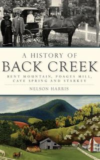 Cover image for A History of Back Creek: Bent Mountain, Poages Mill, Cave Spring and Starkey