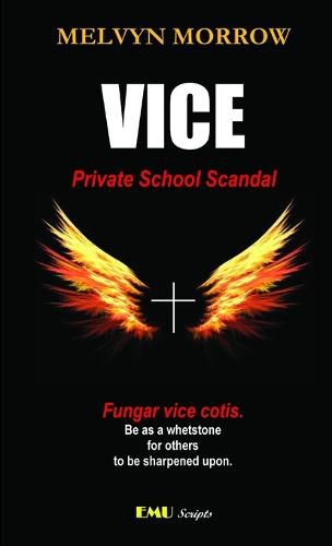 Cover image for Vice