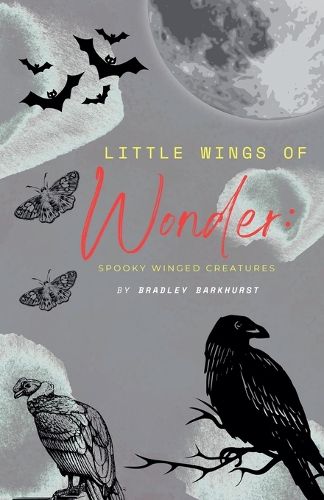 Cover image for Little Wings of Wonder
