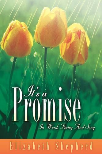 Cover image for It's A Promise