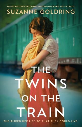 Cover image for The Twins on the Train