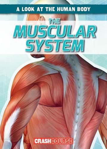 Cover image for The Muscular System