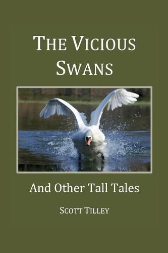 Cover image for The Vicious Swans: And Other Tall Tales