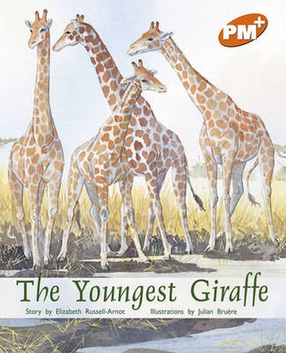 The Youngest Giraffe