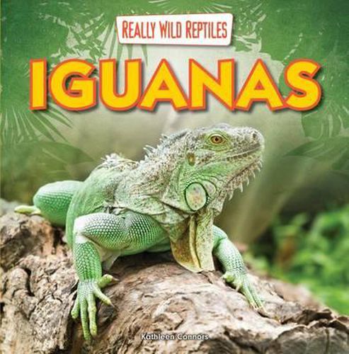 Cover image for Iguanas