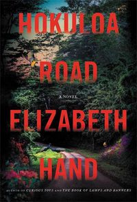 Cover image for Hokuloa Road: A Novel