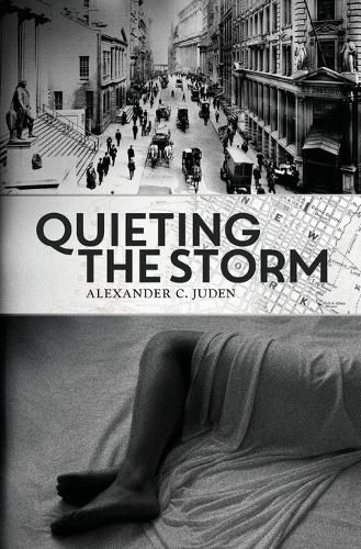 Cover image for Quieting the Storm