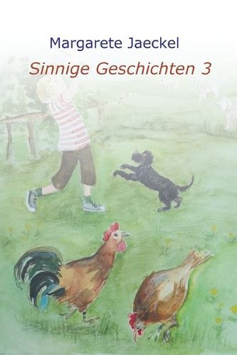 Cover image for Sinnige Geschichten 3