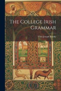 Cover image for The College Irish Grammar