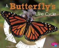 Cover image for A Butterfly's Life Cycle