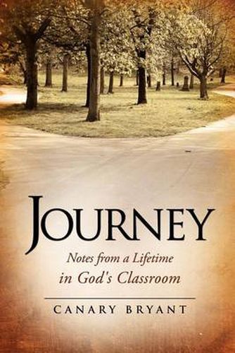 Cover image for Journey