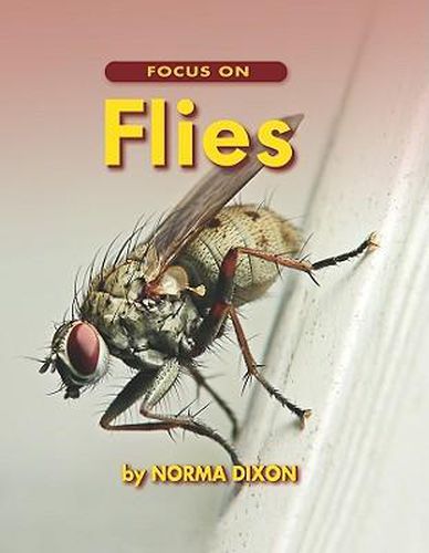 Cover image for Focus on Flies