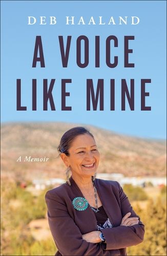 Cover image for A Voice Like Mine