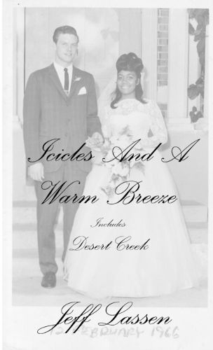 Cover image for Icicles And A Warm Breeze