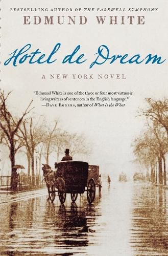 Cover image for Hotel de Dream: A New York Novel