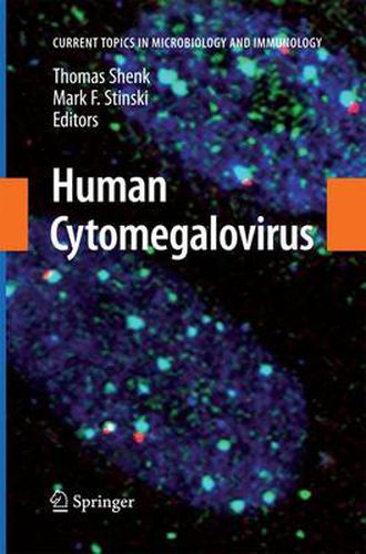 Cover image for Human Cytomegalovirus