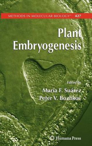 Cover image for Plant Embryogenesis