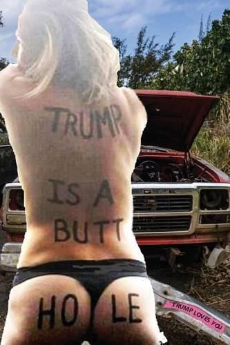 Cover image for The Book of 323 No to Trump Bumperstickers