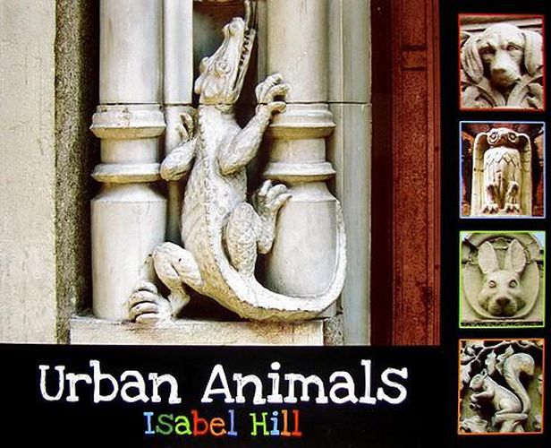 Cover image for Urban Animals