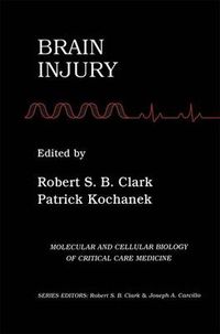 Cover image for Brain Injury