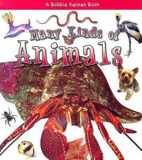 Cover image for Many Kinds of Animals