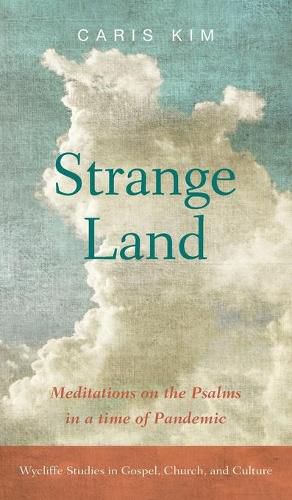 Cover image for Strange Land