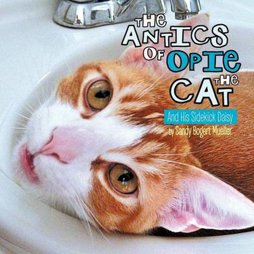 Cover image for The Antics of Opie the Cat: And His Sidekick Daisy