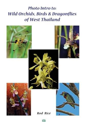 Cover image for Photo Intro to: Wild Orchids, Birds & Dragonflies of West Thailand