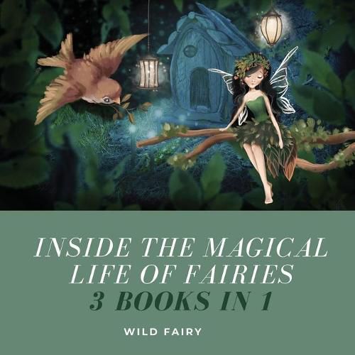 Cover image for Inside the Magical Life of Fairies: 3 Books in 1