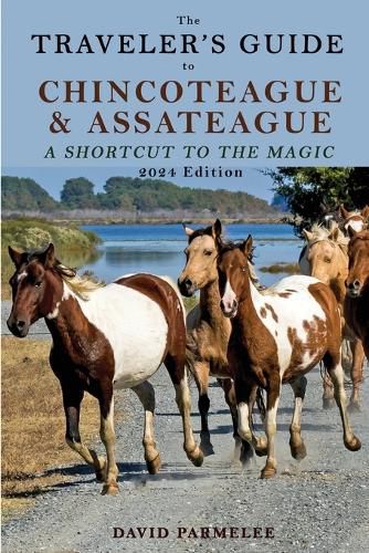 Cover image for The Traveler's Guide to Chincoteague and Assateague