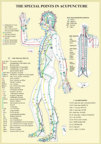 Special Points in Acupunture -- A4