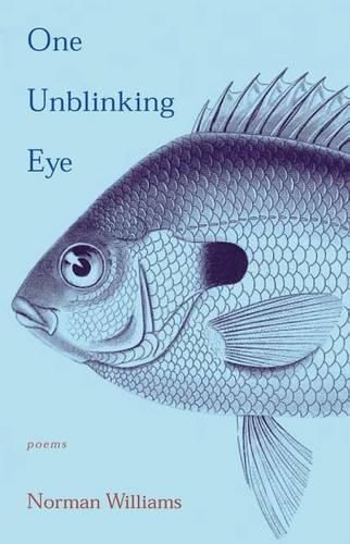 Cover image for One Unblinking Eye: Poems