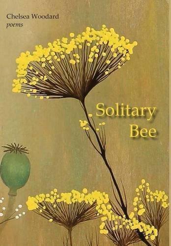 Cover image for Solitary Bee