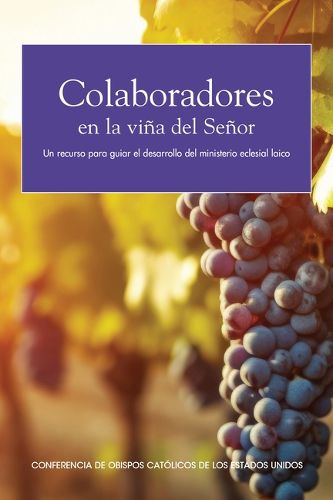 Cover image for Colaboradores En La Vina del Senor