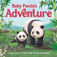 Cover image for Baby Panda's Adventure