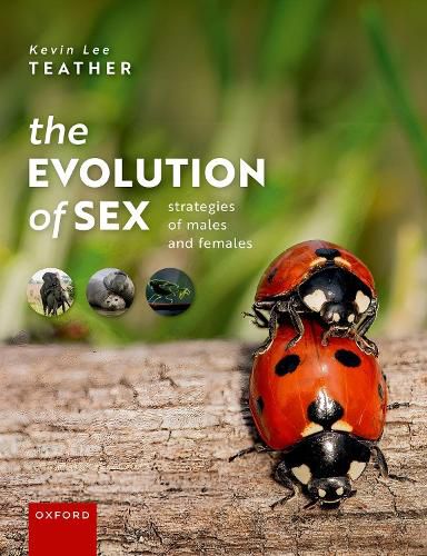 Cover image for The Evolution of Sex