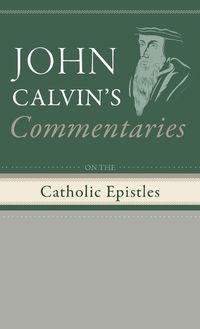 Cover image for Commentaries on the Catholic Epistles