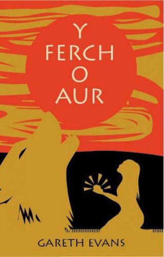 Cover image for Ferch o Aur, Y