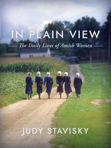Cover image for In Plain View: The Daily Lives of Amish Women