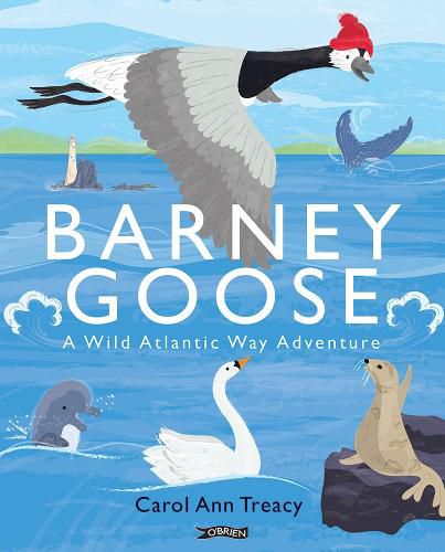 Cover image for Barney Goose: A Wild Atlantic Way Adventure