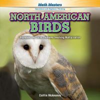 Cover image for North American Birds: Represent and Solve Problems Involving Multiplication