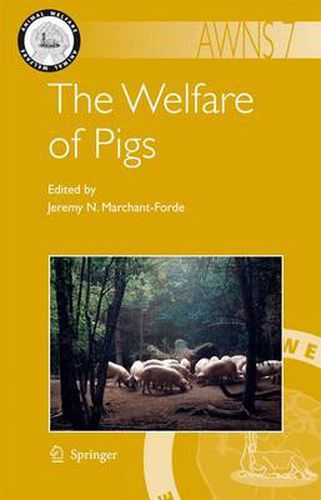 Cover image for The Welfare of Pigs