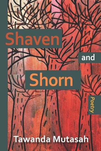 Cover image for Shaven and Shorn