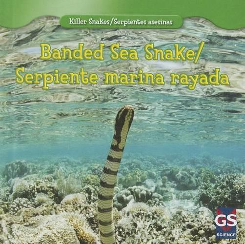 Cover image for Banded Sea Snake / Serpiente Marina Rayada