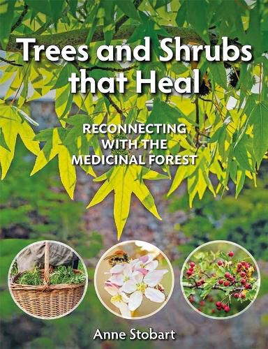 Cover image for Trees and Shrubs that Heal