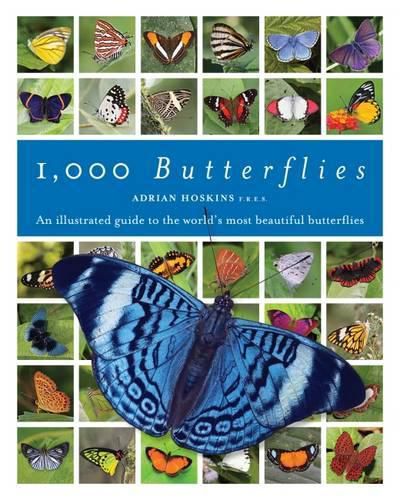 Cover image for 1000 Butterflies: An Illustrated Guide to the World's Most Beautiful Butterflies