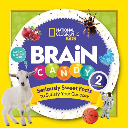 Cover image for Brain Candy 2